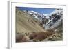 Hemis National Park in Winter, Ladakh, India, Asia-Peter Barritt-Framed Photographic Print