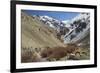 Hemis National Park in Winter, Ladakh, India, Asia-Peter Barritt-Framed Photographic Print