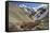 Hemis National Park in Winter, Ladakh, India, Asia-Peter Barritt-Framed Stretched Canvas