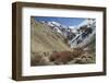 Hemis National Park in Winter, Ladakh, India, Asia-Peter Barritt-Framed Photographic Print