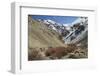 Hemis National Park in Winter, Ladakh, India, Asia-Peter Barritt-Framed Photographic Print