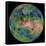 Hemispheric View of Venus-null-Framed Stretched Canvas