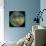 Hemispheric View of Venus-null-Giclee Print displayed on a wall