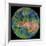 Hemispheric View of Venus-null-Framed Giclee Print