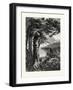 Hemlocks of Lake Otsego, USA-null-Framed Giclee Print