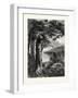 Hemlocks of Lake Otsego, USA-null-Framed Giclee Print