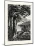 Hemlocks of Lake Otsego, USA-null-Mounted Giclee Print