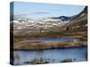 Hemsedalsfjella, Sogn Og Fjordane, Norway, Scandinavia, Europe-Hans Peter Merten-Stretched Canvas