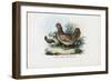 Hen, 1863-79-Raimundo Petraroja-Framed Giclee Print