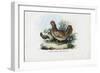 Hen, 1863-79-Raimundo Petraroja-Framed Giclee Print