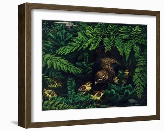 Hen and Chicks-Stan Galli-Framed Giclee Print