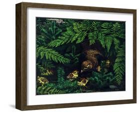 Hen and Chicks-Stan Galli-Framed Giclee Print