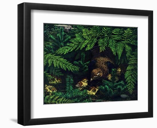 Hen and Chicks-Stan Galli-Framed Premium Giclee Print