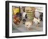 Hen at Wat Pa Pong, Chiang Mai, Thailand-Gavriel Jecan-Framed Photographic Print