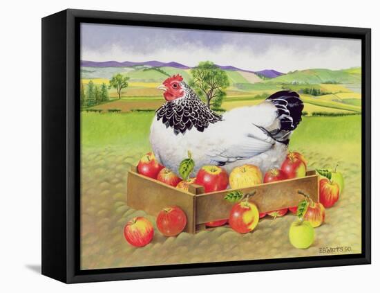 Hen in a Box of Apples, 1990-E.B. Watts-Framed Stretched Canvas