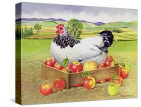 Hen in a Box of Apples, 1990-E.B. Watts-Stretched Canvas