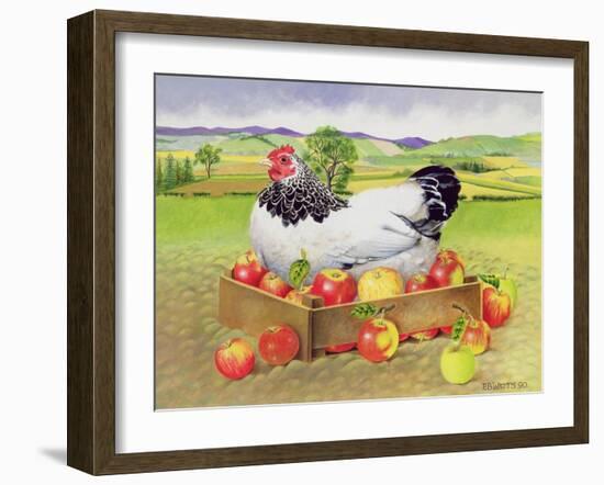 Hen in a Box of Apples, 1990-E.B. Watts-Framed Giclee Print