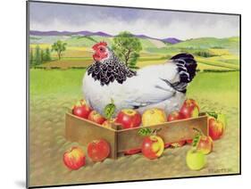 Hen in a Box of Apples, 1990-E.B. Watts-Mounted Giclee Print