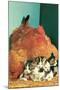 Hen Sitting on Kittens-null-Mounted Art Print