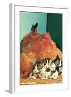 Hen Sitting on Kittens-null-Framed Art Print