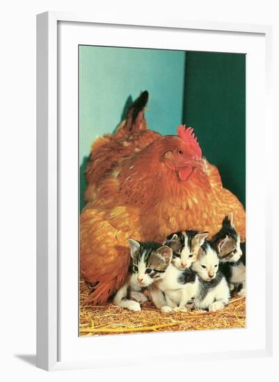 Hen Sitting on Kittens-null-Framed Art Print