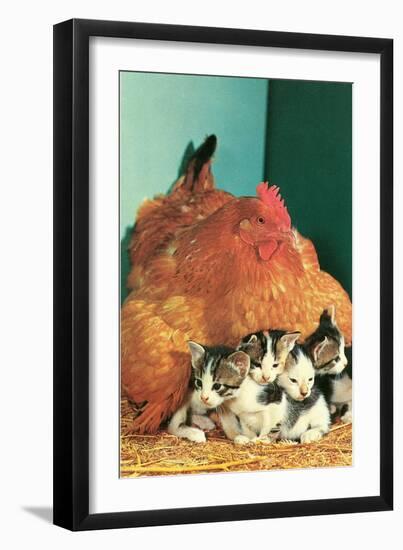 Hen Sitting on Kittens-null-Framed Art Print