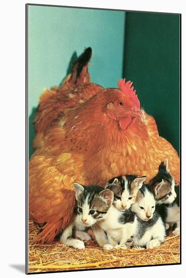 Hen Sitting on Kittens-null-Mounted Art Print