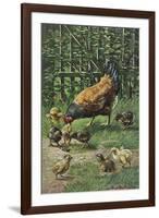 Hen with Chicks-August Muller-Framed Art Print