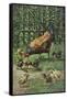 Hen with Chicks-August Muller-Framed Stretched Canvas