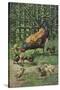 Hen with Chicks-August Muller-Stretched Canvas