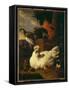 Hen with Chicks-Melchior de Hondecoeter-Framed Stretched Canvas