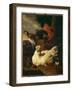 Hen with Chicks-Melchior de Hondecoeter-Framed Giclee Print