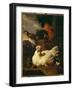 Hen with Chicks-Melchior de Hondecoeter-Framed Giclee Print