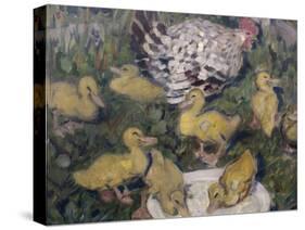 Hen with ducklings, 1906-Bernhard Dorotheus Folkestad-Stretched Canvas