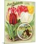 Henderson 1892 Tulips-null-Mounted Premium Giclee Print