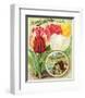 Henderson 1892 Tulips-null-Framed Art Print