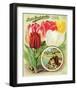 Henderson 1892 Tulips-null-Framed Art Print