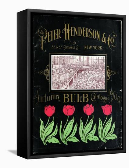 Henderson Tulips-Vintage Apple Collection-Framed Stretched Canvas