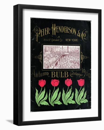 Henderson Tulips-Vintage Apple Collection-Framed Giclee Print