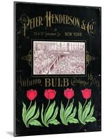 Henderson Tulips-Vintage Apple Collection-Mounted Giclee Print