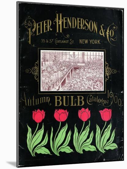 Henderson Tulips-Vintage Apple Collection-Mounted Giclee Print