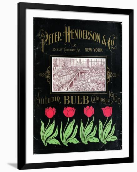 Henderson Tulips-Vintage Apple Collection-Framed Giclee Print