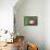 Hendler's Fresh Strawberry Ice Cream-null-Framed Stretched Canvas displayed on a wall