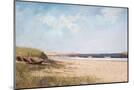 Wood Mount