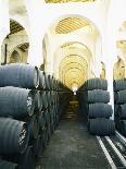 La Mezquita Winery (Jerez de la Frontera, Spain)-Hendrik Holler-Framed Photographic Print