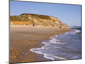 Hengistbury Head and Beach, Dorset, England, United Kingdom, Europe-Rainford Roy-Mounted Photographic Print