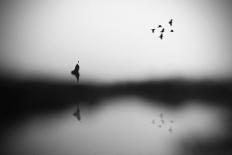 The Clue-Hengki Lee-Stretched Canvas
