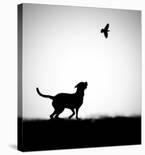 The Boy from Nowhere-Hengki Lee-Framed Photographic Print