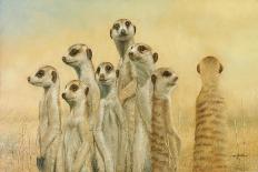 Meerkats-Henk Van Zanten-Laminated Premium Giclee Print