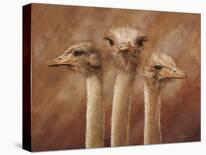 Three's a Crowd-Henk van Zanten-Stretched Canvas